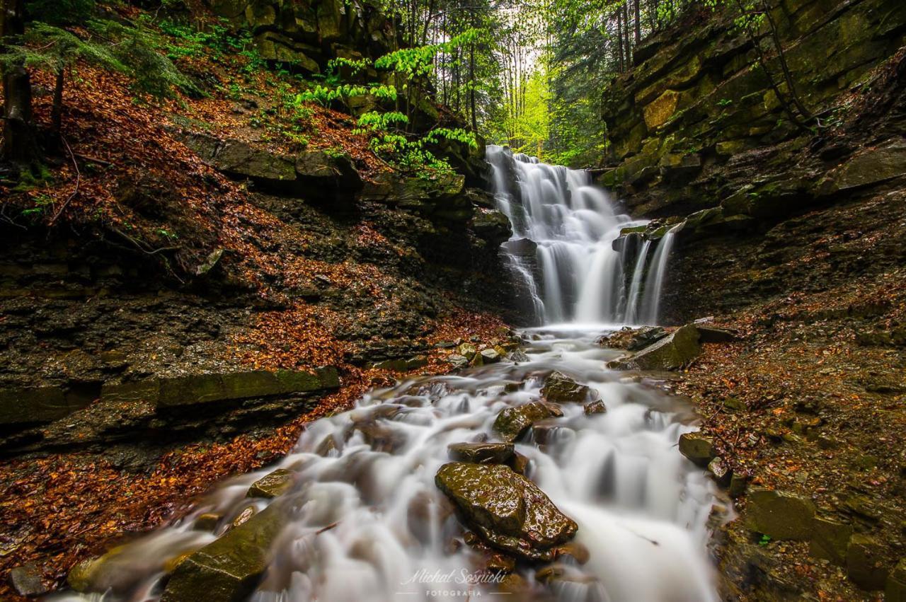 Beskid Zawoja Kültér fotó